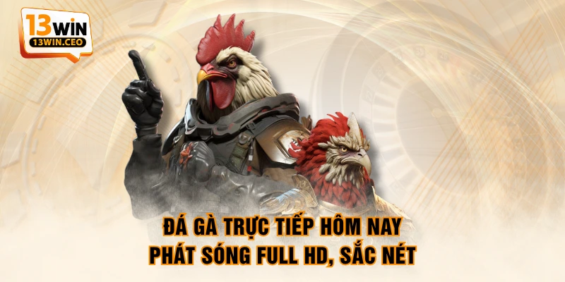 Đá gà trực tiếp hôm nay phát sóng Full HD, sắc nét Đá gà trực tiếp hôm nay phát sóng Full HD, sắc nét