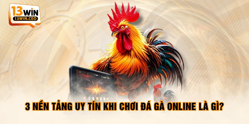 3 nền tảng uy tín khi chơi đá gà online là gì? 3 nền tảng uy tín khi chơi đá gà online là gì?