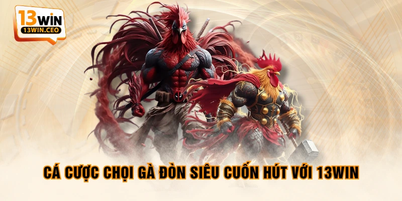 Cá cược chọi gà đòn siêu cuốn hút với 13WIN