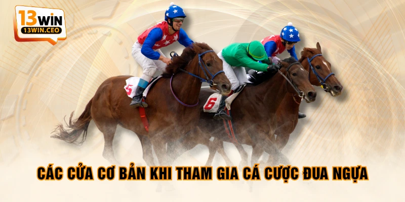 Các cửa cơ bản khi tham gia cá cược đua ngựa