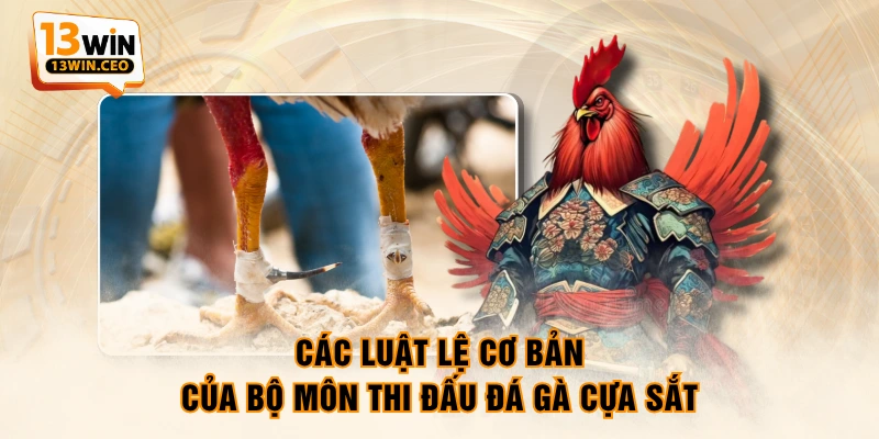 Các luật lệ cơ bản của bộ môn thi đấu đá gà cựa sắt Các luật lệ cơ bản của bộ môn thi đấu đá gà cựa sắt