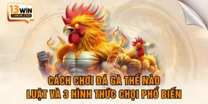 Cách Chơi Đá Gà Thế Nào - Luật Và 3 Hình Thức Chọi Phổ Biến