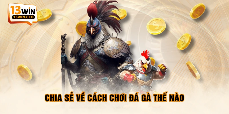 Chia sẻ về cách chơi đá gà thế nào Chia sẻ về cách chơi đá gà thế nào