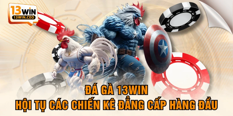 Đá Gà 13WIN - Hội Tụ Các Chiến Kê Đẳng Cấp Hàng Đầu