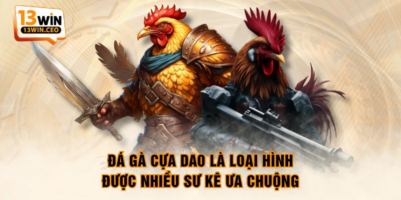 Đá gà cựa dao là loại hình được nhiều sư kê ưa chuộng Đá gà cựa dao là loại hình được nhiều sư kê ưa chuộng