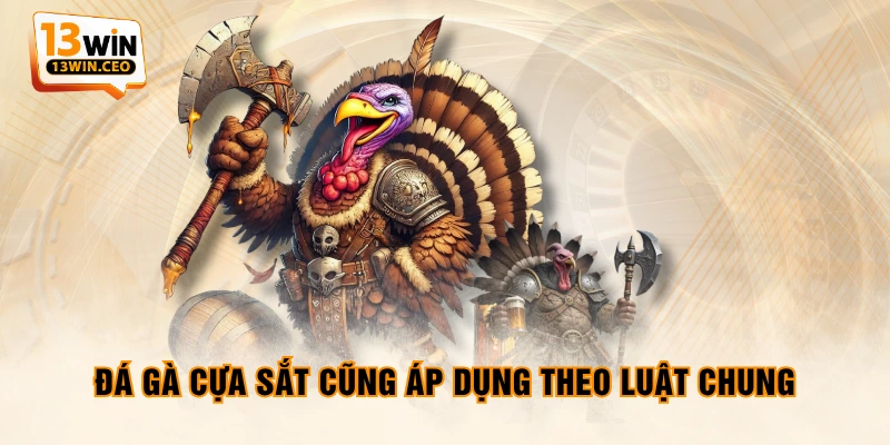Đá gà cựa sắt cũng áp dụng theo luật chung Đá gà cựa sắt cũng áp dụng theo luật chung