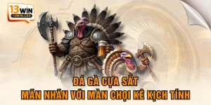 Đá Gà Cựa Sắt - Mãn Nhãn Với Màn Chọi Kê Kịch Tính