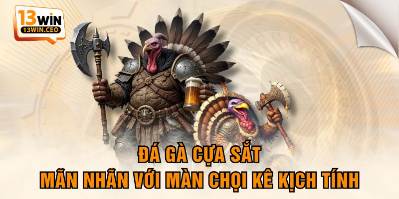 Đá Gà Cựa Sắt - Mãn Nhãn Với Màn Chọi Kê Kịch Tính