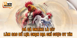 Đá Gà Online Là Gì? Làm Sao Để Lựa Chọn Địa Chỉ Cược Uy Tín