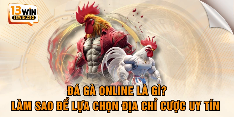 Đá Gà Online Là Gì? Làm Sao Để Lựa Chọn Địa Chỉ Cược Uy Tín