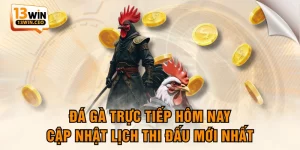Đá Gà Trực Tiếp Hôm Nay - Cập Nhật Lịch Thi Đấu Mới Nhất