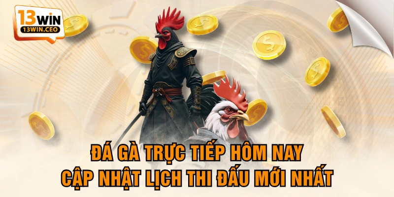 Đá Gà Trực Tiếp Hôm Nay - Cập Nhật Lịch Thi Đấu Mới Nhất