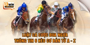 Luật Cá Cược Đua Ngựa - Thông Tin 6 Kèo Cơ Bản Từ A - Z