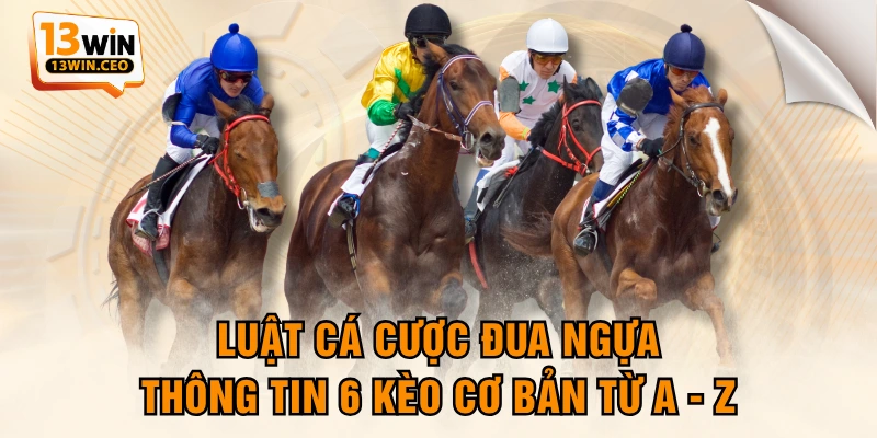 Luật Cá Cược Đua Ngựa - Thông Tin 6 Kèo Cơ Bản Từ A - Z