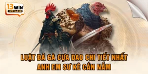 Luật Đá Gà Cựa Dao Chi Tiết Nhất Anh Em Sư Kê Cần Nắm