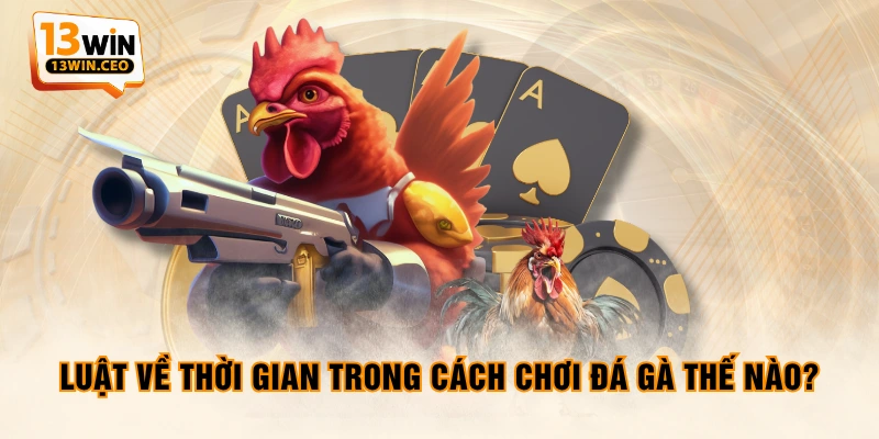 Luật về thời gian trong cách chơi đá gà thế nào? Luật về thời gian trong cách chơi đá gà thế nào?