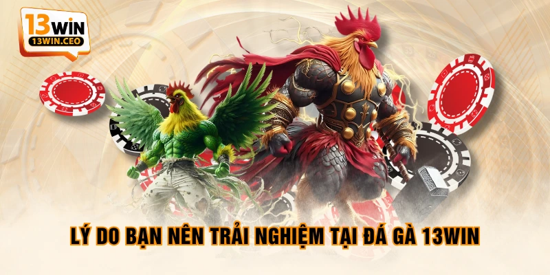 Lý do bạn nên trải nghiệm tại đá gà 13WIN