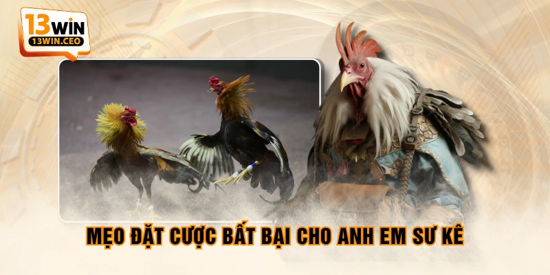 Mẹo đặt cược bất bại cho anh em sư kê Mẹo đặt cược bất bại cho anh em sư kê