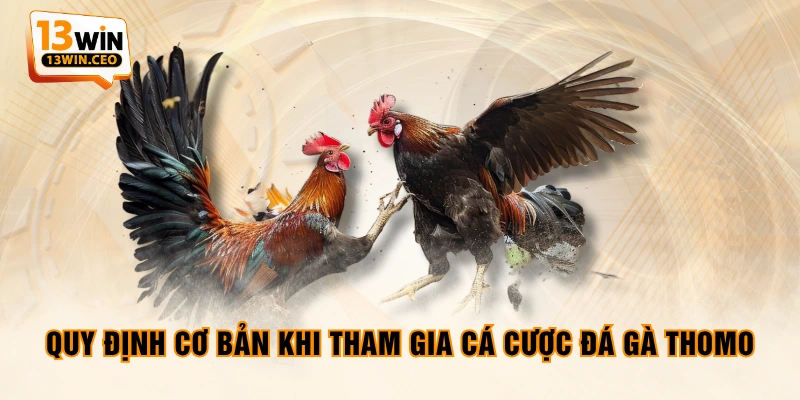 Quy định cơ bản khi tham gia cá cược Đá Gà Thomo Quy định cơ bản khi tham gia cá cược Đá Gà Thomo