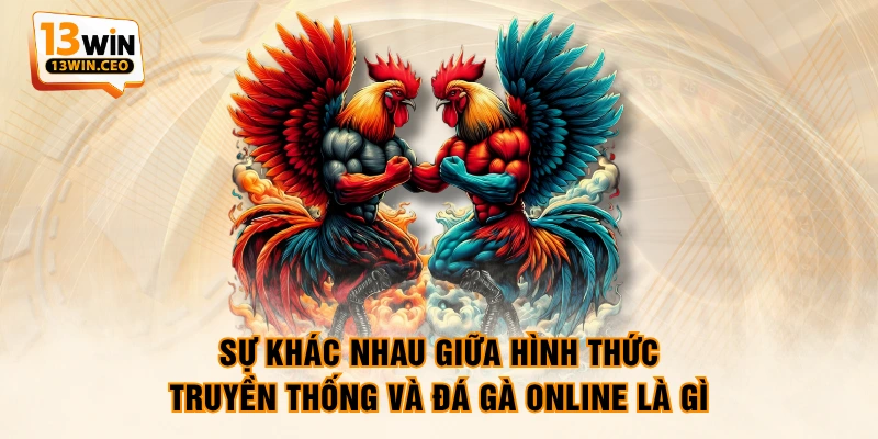 Sự khác nhau giữa hình thức truyền thống và đá gà online là gì Sự khác nhau giữa hình thức truyền thống và đá gà online là gì