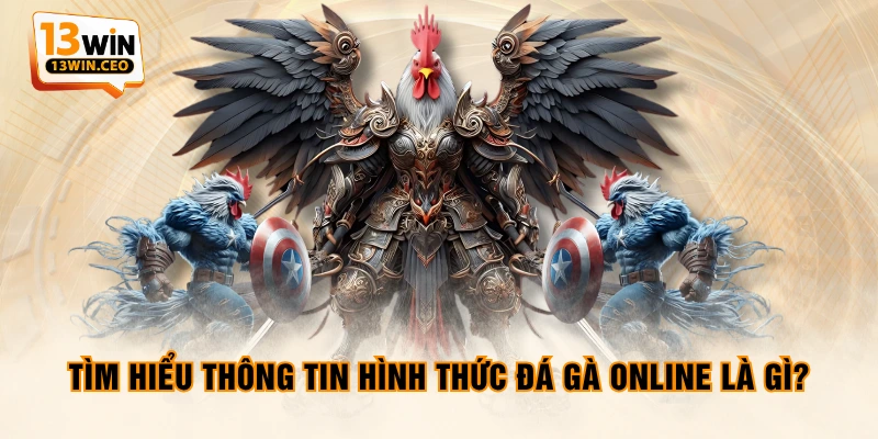 Tìm hiểu thông tin hình thức đá gà online là gì? Tìm hiểu thông tin hình thức đá gà online là gì?