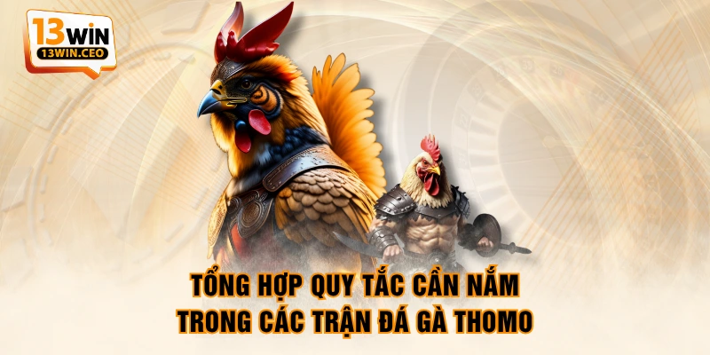Tổng hợp quy tắc cần nắm trong các trận Đá Gà Thomo Tổng hợp quy tắc cần nắm trong các trận Đá Gà Thomo