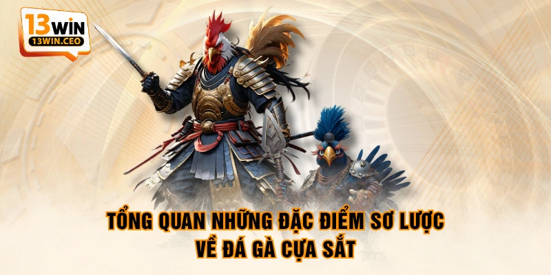 Tổng quan những đặc điểm sơ lược về đá gà cựa sắt Tổng quan những đặc điểm sơ lược về đá gà cựa sắt