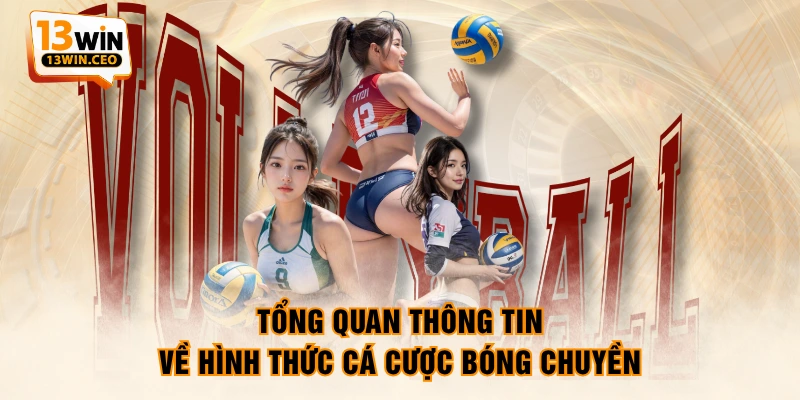 Tổng quan thông tin về hình thức cá cược bóng chuyền Tổng quan thông tin về hình thức cá cược bóng chuyền