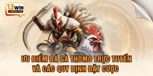 Ưu Điểm Đá Gà Thomo Trực Tuyến Và Các Quy Định Đặt Cược